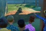 《动物园之星》新DLC发布 鬼才主播开门营业